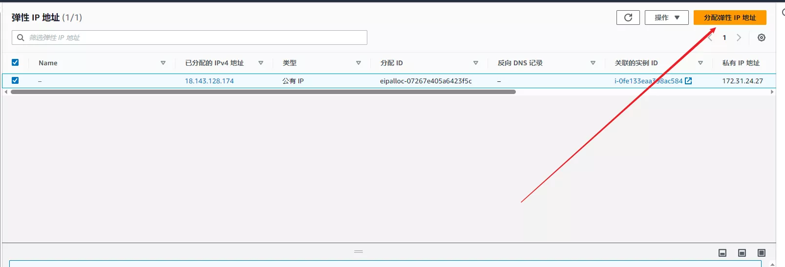 分配弹性ip