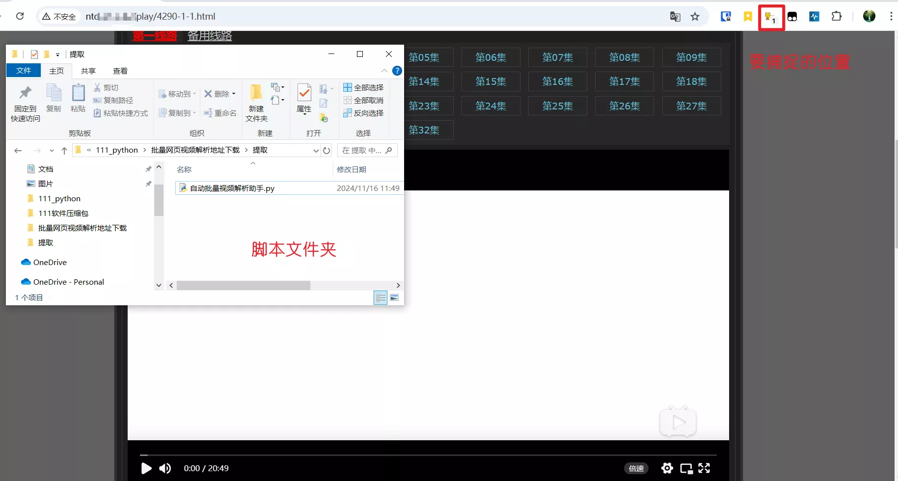 窗口布局