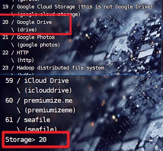 输入googledrive的存储序号