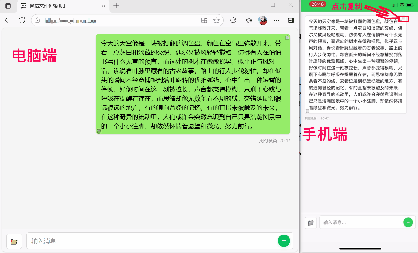 一键复制